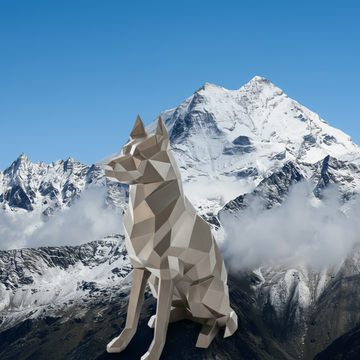 Berger Allemand Polygonal