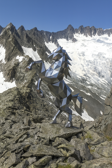 Cheval 222 Polygonal